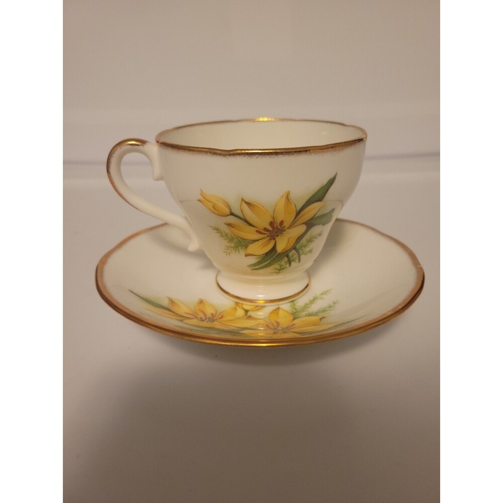 Yellow Lily Teacup And Saucer, Salisbury Bone China England